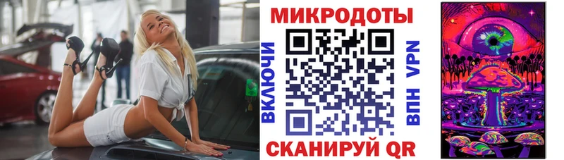 дарнет шоп  Новоузенск  гидра ссылка  Псилоцибиновые грибы Psilocybe 