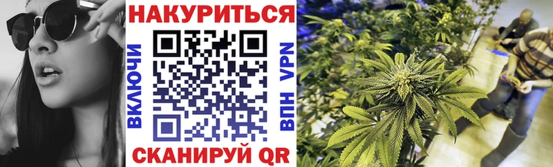 где купить наркотик Новоузенск Шишки марихуана Amnesia